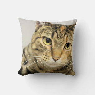Coussin Cat