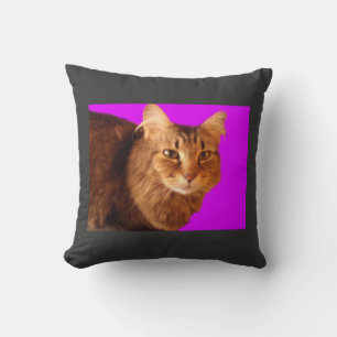Coussin Cat 14