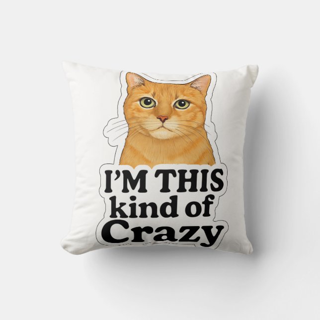 Coussin - “Cat Lover’s Humor Pillow – Orange Cat Design” (Recto)