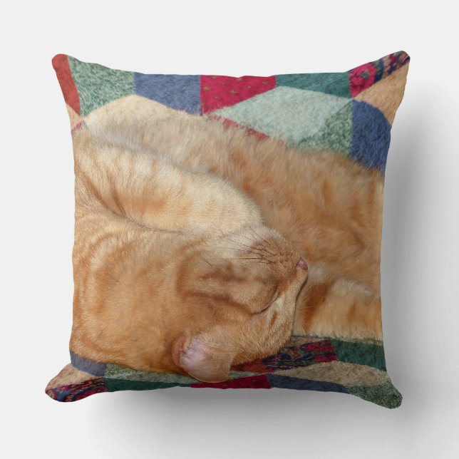 Coussin Cat Napping (Recto)