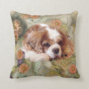 Coussin Cavalier Charles Spaniel