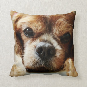 Coussin cavalier rouge 16x16