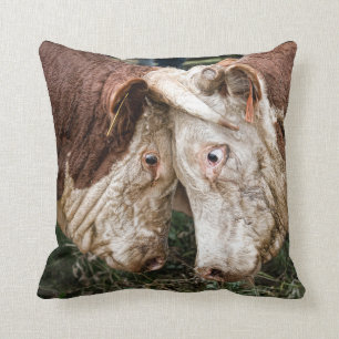 Coussin Ce n'est aucun taureau