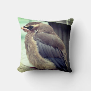 Coussin Cèdre bébé naissant Céleste cire Oiseau