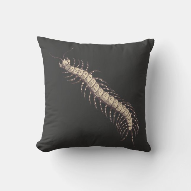 Coussin Centipede (Recto)