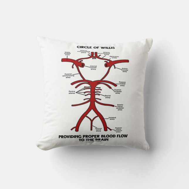 Coussin Cercle de willis fournissant le cerveau approprié (Recto)