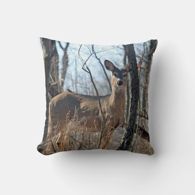 Coussin Cerf à queue blanche (Recto)