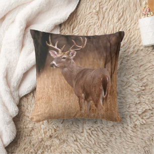 Coussin Cerf à queue blanche Choke Canyon State Park, T
