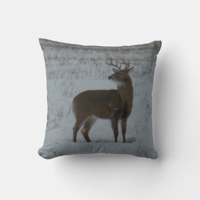 Coussin Cerf à queue blanche D11 dans la neige (Recto)