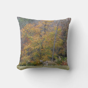 Coussin Cerf d'automne dans le lac Arrowhead