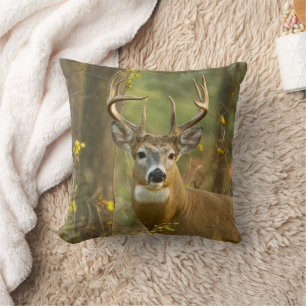 Coussin Cerf de Virginie Buck   Whitefish, Montana