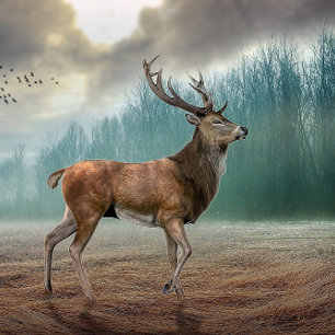 Coussin Cerf Lone Dans La Forêt Misty