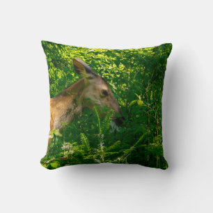 Coussin Cerf roux dans la forêt.
