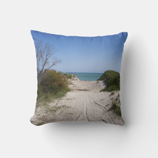 Coussin Cervantes WA (Recto)