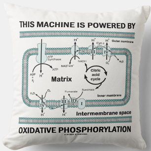 Coussin Cette Machine Alimentée Par La Phosphylation Oxida