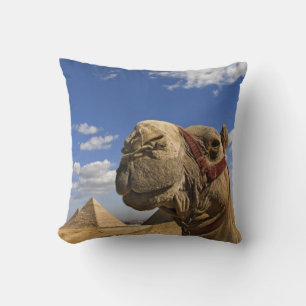 Coussin Chameau devant les pyramides de Gizeh, Égypte,