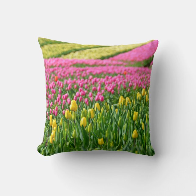 Coussin Champs de couleurs (Recto)