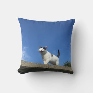 Coussin Chanter Cat Cushion 歌 う ク ョ