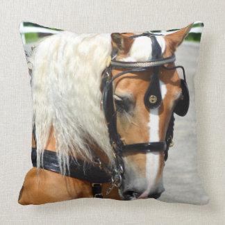 Coussin chariot de colline de noix conduisant le concours