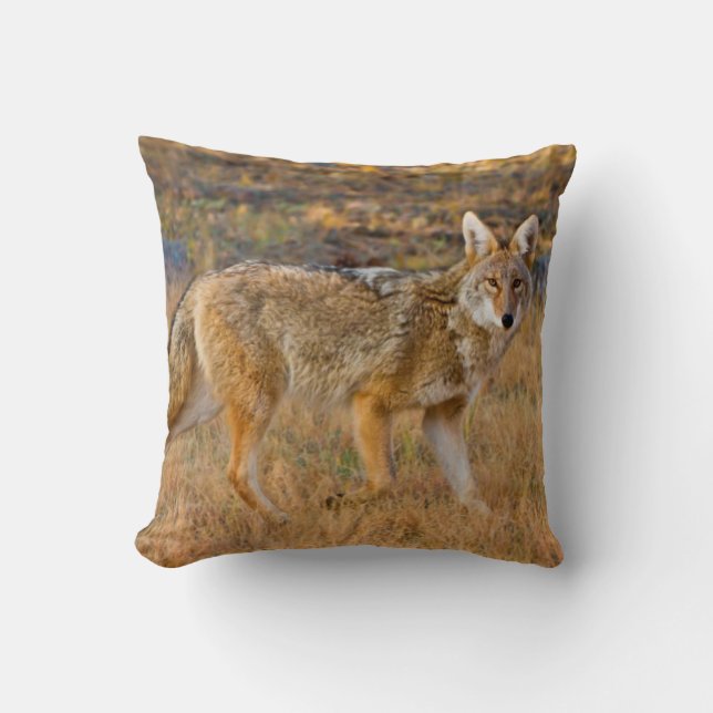 Coussin Chasse au coyote (Canis Latrans) (Recto)