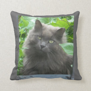 Coussin Chat bleu russe à long haïr