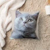 Coussin Chat britannique gris de Shorthair (Couverture)