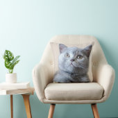Coussin Chat britannique gris de Shorthair (Chaise)