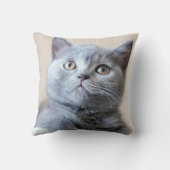 Coussin Chat britannique gris de Shorthair (Verso)