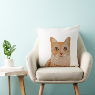 Coussin Chat Chaton Mignon Chat 