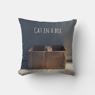 Coussin Chat dans une boîte. Le maître du chat Zen.