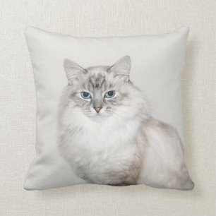 Coussin Chat de l'Himalaya de point bleu