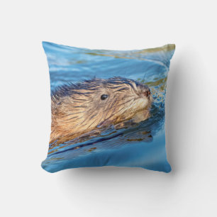Coussin Chat de muscat dans les fermes de Vassar Réserve é