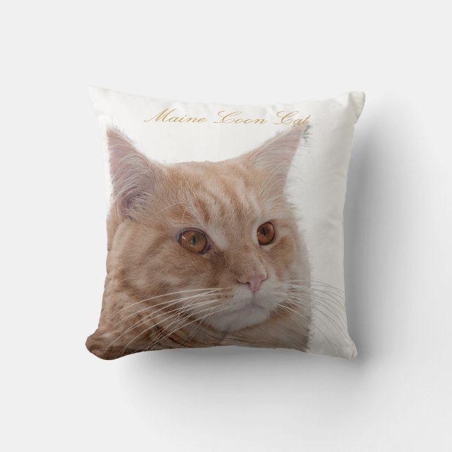 Coussin Chat de ragondin du Maine (Recto)