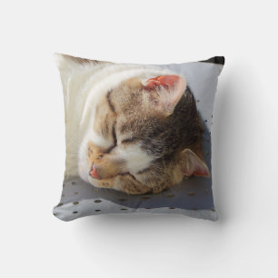 Coussin Chat dormant dans un jardin