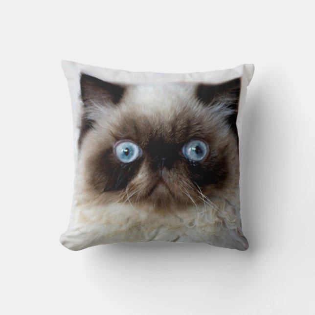 Coussin Chat drôle (Recto)