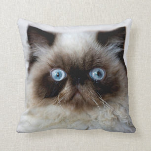 Coussin Chat drôle