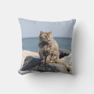 Coussin Chat Ébouriffé au Bord de la Mer Photo Mignonne