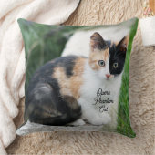 Coussin Chat Fantôme de l'Opéra (Couverture)