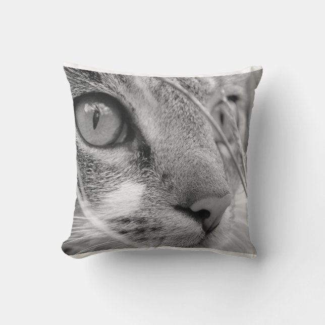 Coussin chat gris et blanc sur un vert (Recto)