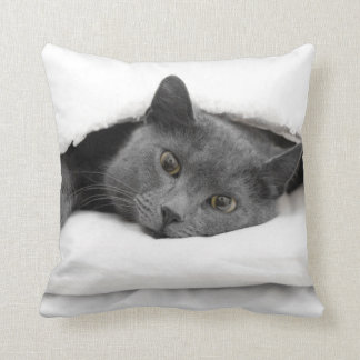 Coussin Chat gris sous la couverture blanche
