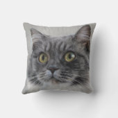 Coussin Chat gris surpris, une race distinctive (Verso)