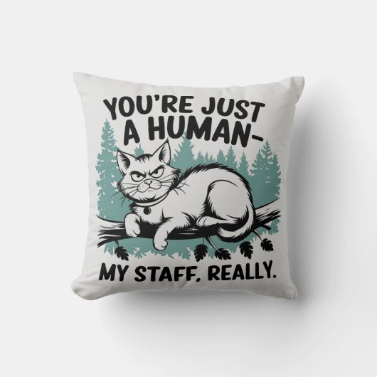 Coussin Chat Grumpy - 'Vous êtes juste un humain, mon pers (Recto)