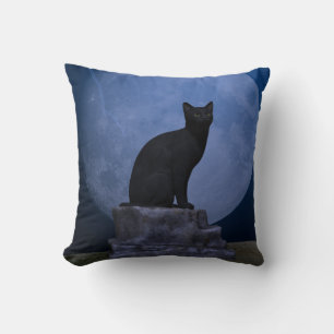 Coussin Chat Lune