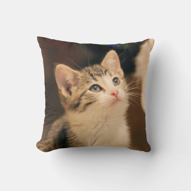 Coussin Chat mignon (Recto)