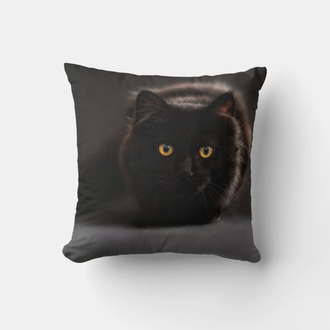 Coussin Chat noir (Recto)