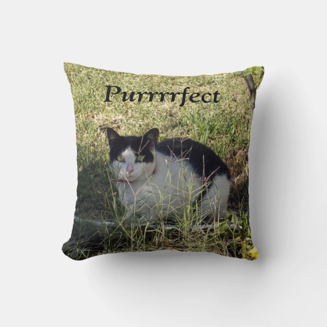 Coussin Chat Noir Et Blanc, (Recto)
