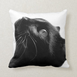 Coussin Chat noir et blanc animal de compagnie mignon phot