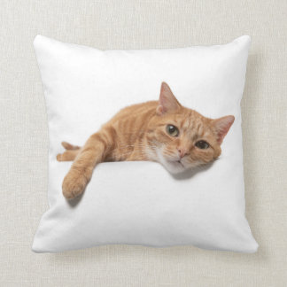 Coussin Chat Orange Posé En Bas
