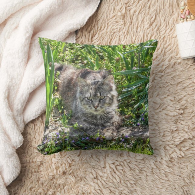 Coussin Chat pendant l'éclipse (Couverture)
