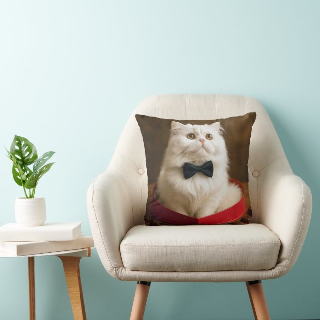 Coussin Chat Persan dans une boîte de bonbons en forme de  (Chaise)